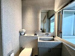 Cairnhill Plaza (D9), Apartment #475749131